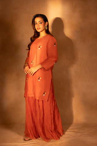 MORBAGH SHARARA SET