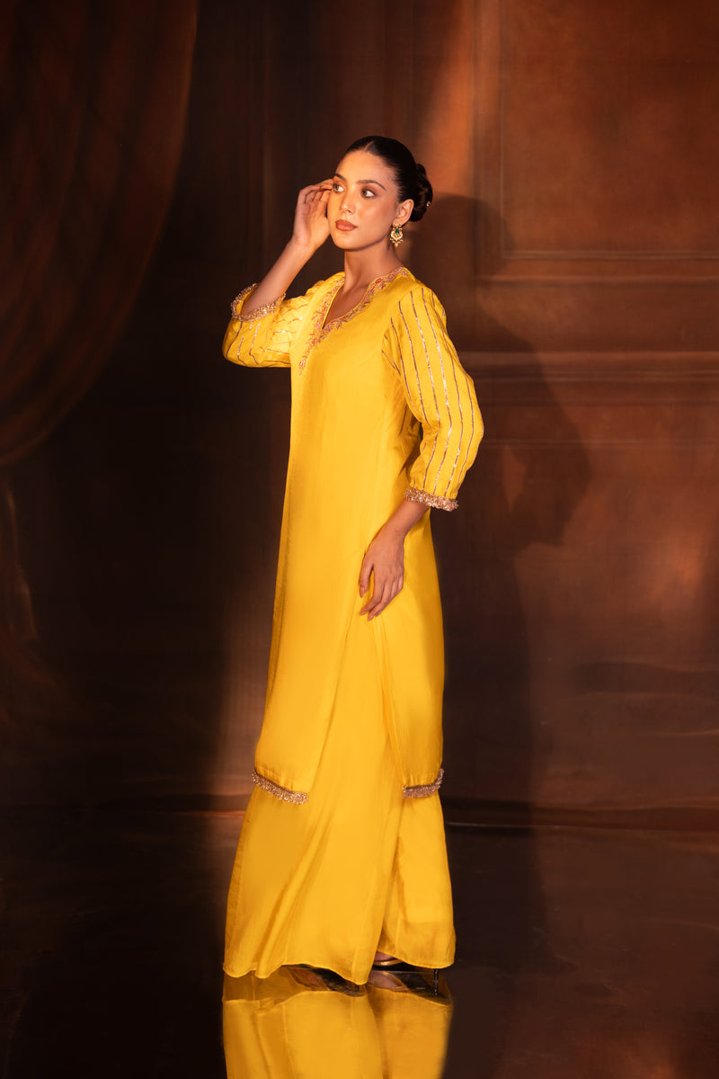 KANCHAN SHARARA SET — another view