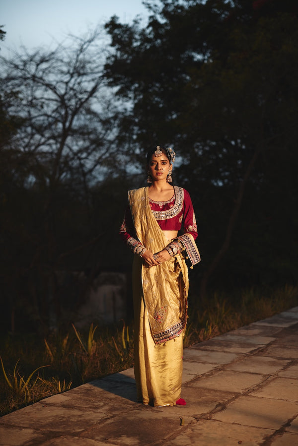 TARAAZ champagne tissue saree with jaal motifs by Rashika Mittal - front view