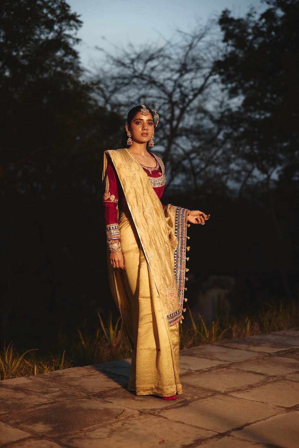 TARAAZ champagne tissue saree with jaal motifs by Rashika Mittal - close-up detail