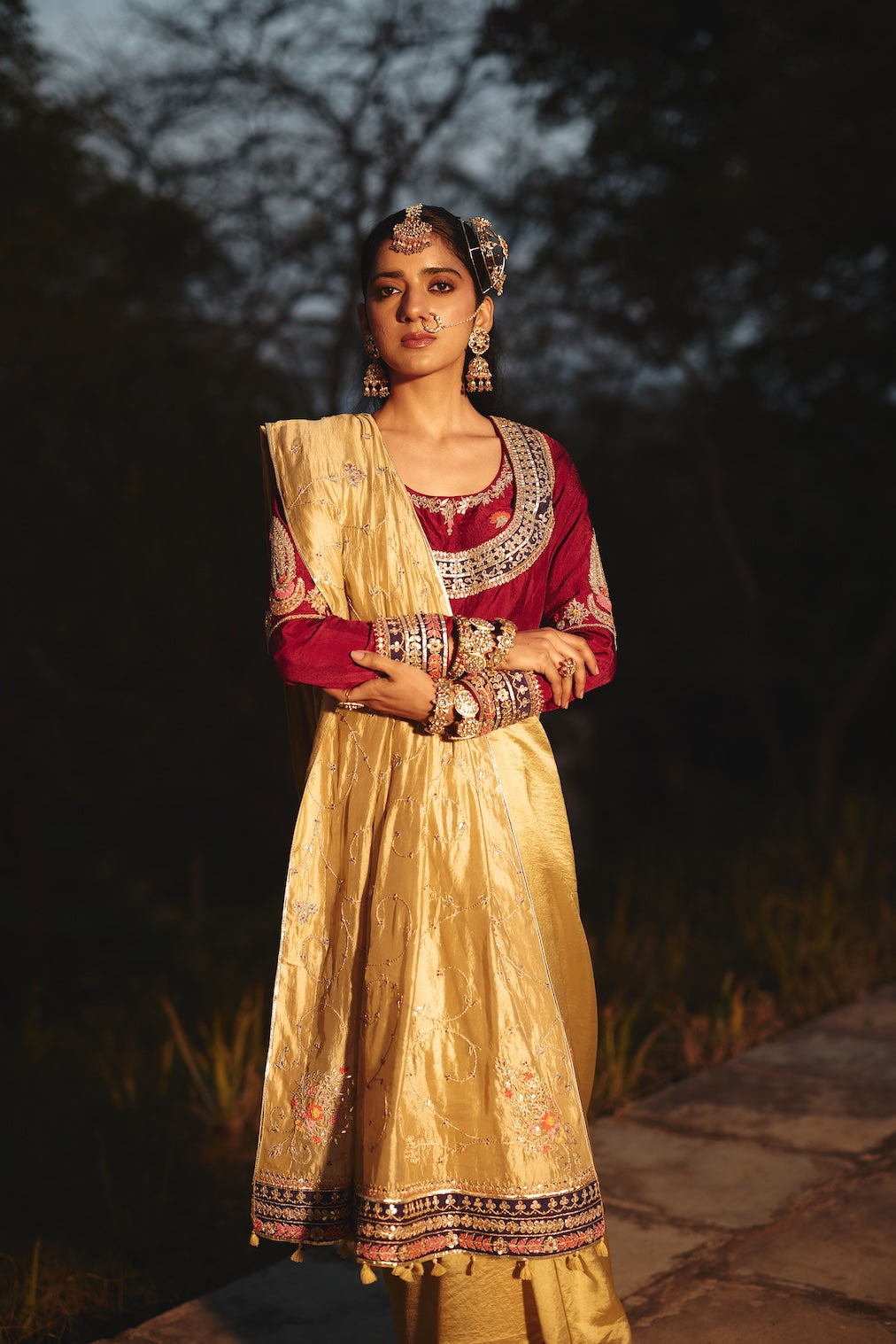 TARAAZ champagne tissue saree with jaal motifs by Rashika Mittal - back view